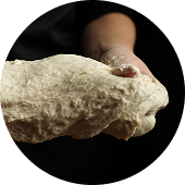 Professionelt bagværk