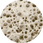 Processer i bagerbrød